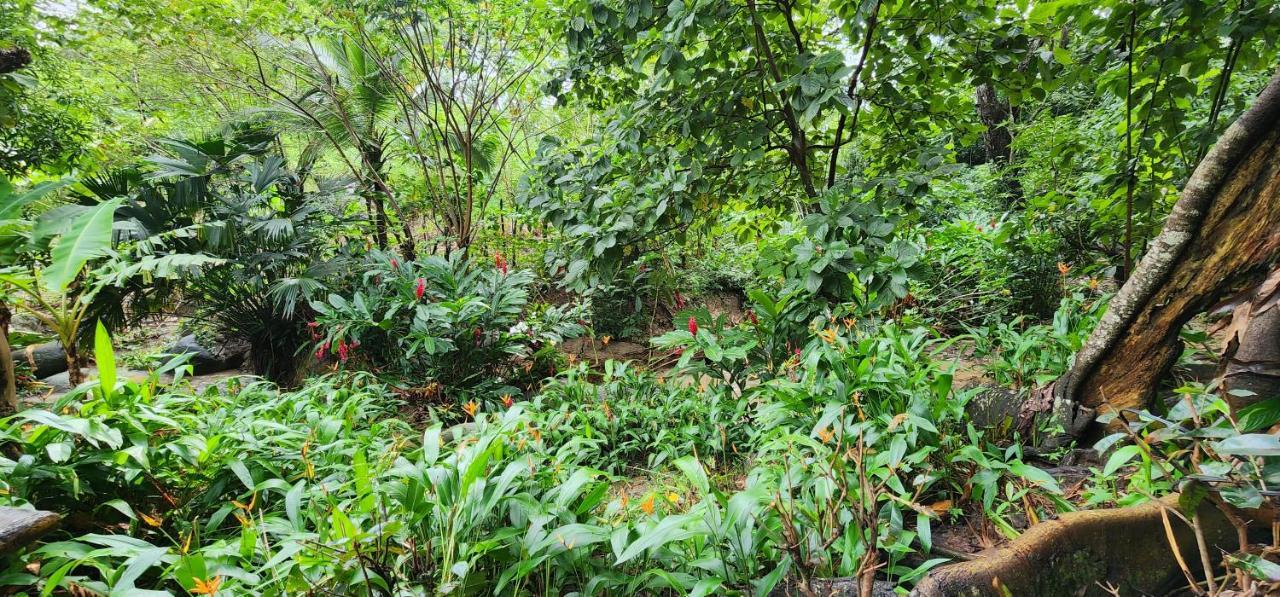 Hostel Finca La Gordita Calabazo  Екстериор снимка
