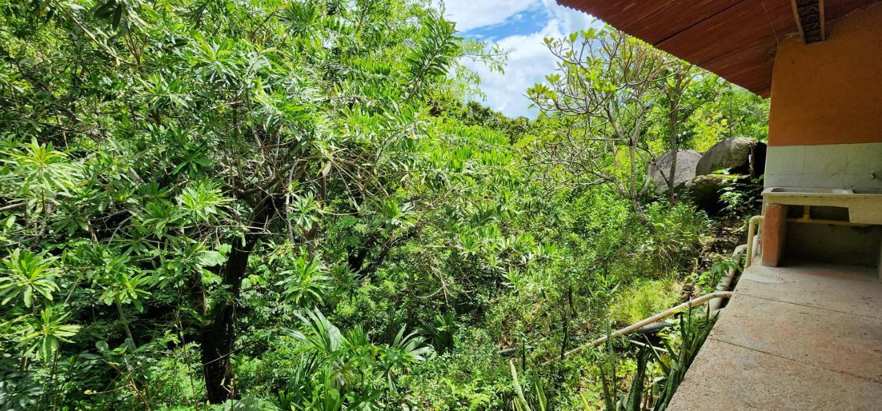 Hostel Finca La Gordita Calabazo  Екстериор снимка