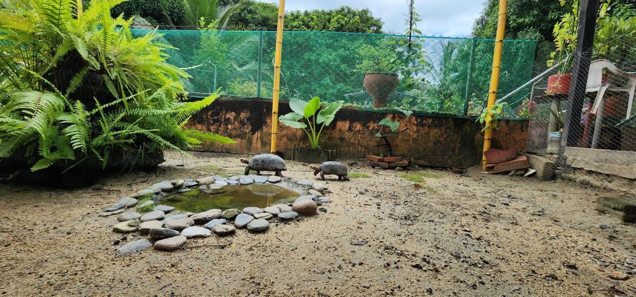 Hostel Finca La Gordita Calabazo  Екстериор снимка