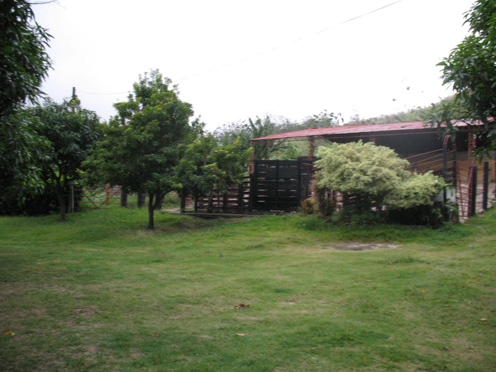 Hostel Finca La Gordita Calabazo  Екстериор снимка